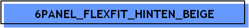 6PANEL_FLEXFIT_HINTEN_BEIGE