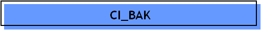 CI_BAK