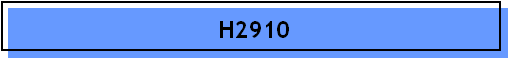 H2910