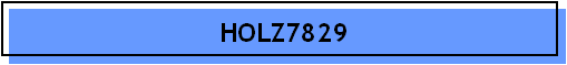 HOLZ7829