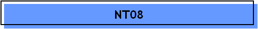 NT08