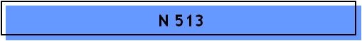 N 513