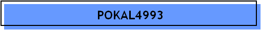 POKAL4993