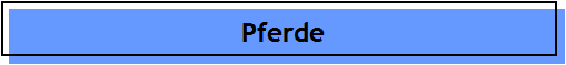 Pferde