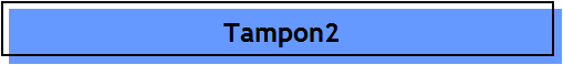 Tampon2