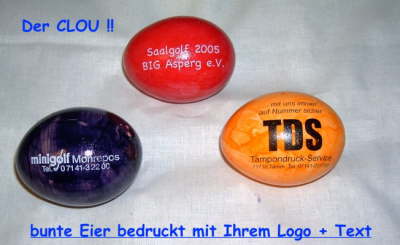 Eier