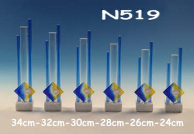N 519