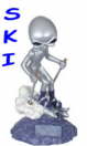 Ski