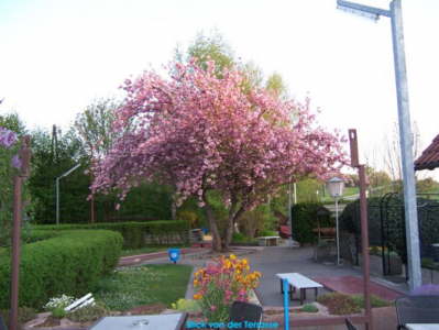 Terrasse_400pixel