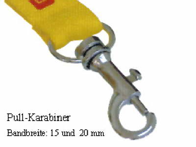 pullkarabiner2
